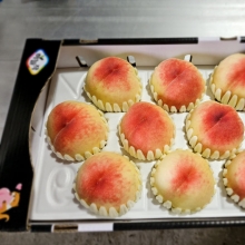 [구매평+포스팅] 백도  3kg 12~14과